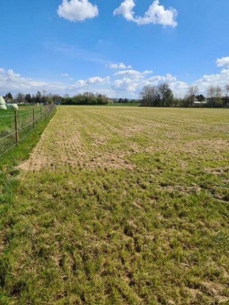 Babenhausen DIETZ: Traumhafte Landwirtschaftsfläche in Babenhausen Hergershausen neben Reiterhof zu verkaufen! Grundstück kaufen