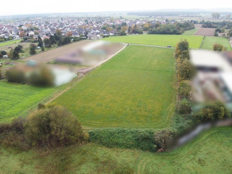 Babenhausen DIETZ: Traumhafte Landwirtschaftsfläche in Babenhausen Hergershausen neben Reiterhof zu verkaufen! Grundstück kaufen