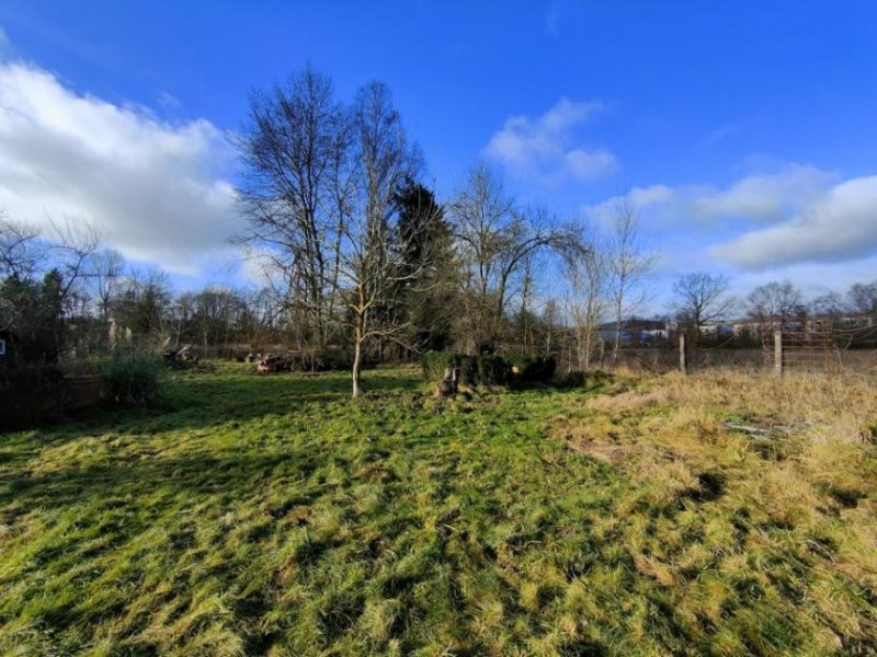 Taunusstein Weitläufiges, flaches Baugrundstück mit angrenzendem Schutzgebiet in Taunusstein Hahn Grundstück kaufen