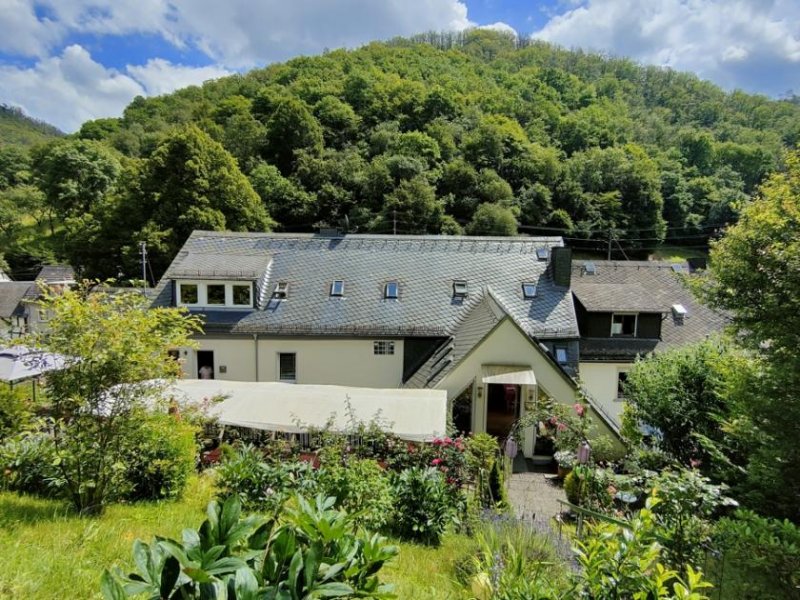 Rüdesheim am Rhein Großzügiges Anwesen mit besonderem Flair, vielen Nutzungsmöglichkeiten Nähe Rüdesheim -Lorch/ Rhein Haus kaufen