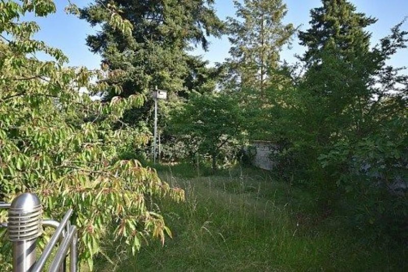 Raunheim Freistehender Bungalow auf großem Grundstück Haus kaufen