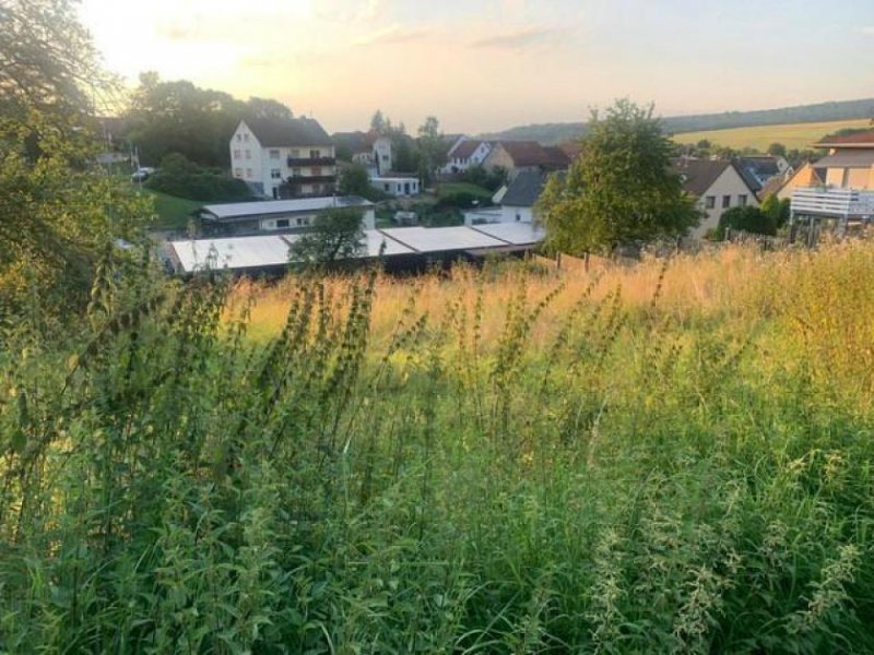 Waldems Einmalige Gelegenheit: Traumhaftes Grundstück mit Weitblick in ruhiger Lage Grundstück kaufen