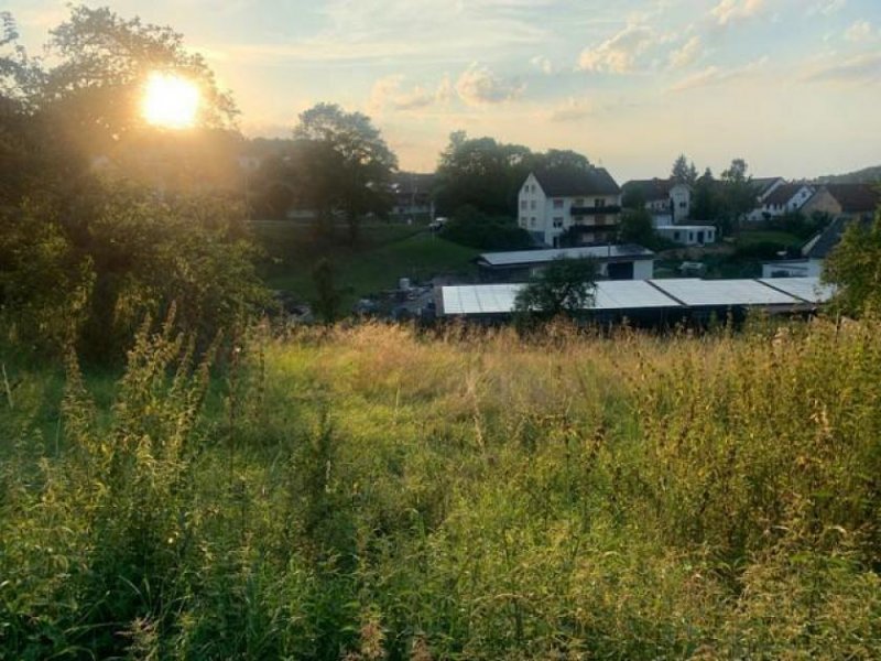 Waldems Ihr Traumgrundstück mit Weitblick: Großzügige 1.334 m² in ruhiger Seitenstraße Grundstück kaufen