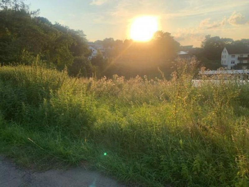 Waldems Ihr Traumgrundstück mit Weitblick: Großzügige 1.334 m² in ruhiger Seitenstraße Grundstück kaufen