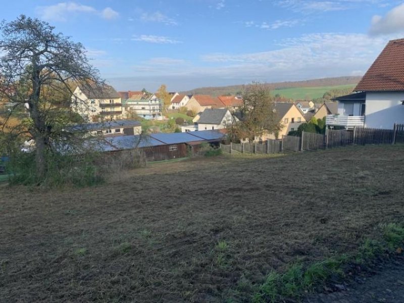 Waldems Ihr Traumgrundstück mit Weitblick: Großzügige 1.334 m² in ruhiger Seitenstraße Grundstück kaufen