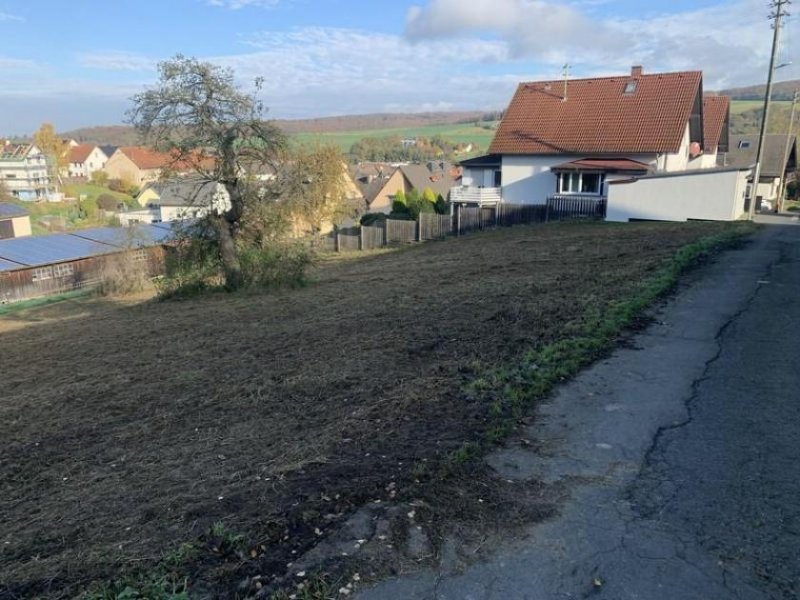 Waldems Ihr Traumgrundstück mit Weitblick: Großzügige 1.334 m² in ruhiger Seitenstraße Grundstück kaufen