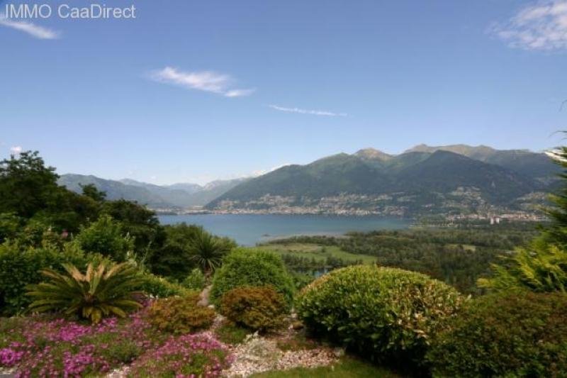 Magadino Mediterrane, sehr gepflegte Traumvilla mit Swimming Pool auf grossem Grundstück. Ein Traum!! Haus kaufen