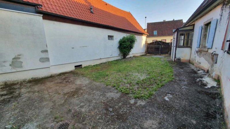 Mutterstadt ObjNr:B-19616 - Freistehendes EInfamilienhaus auf großem Grundstück mit Sanierungsbedarf Haus kaufen