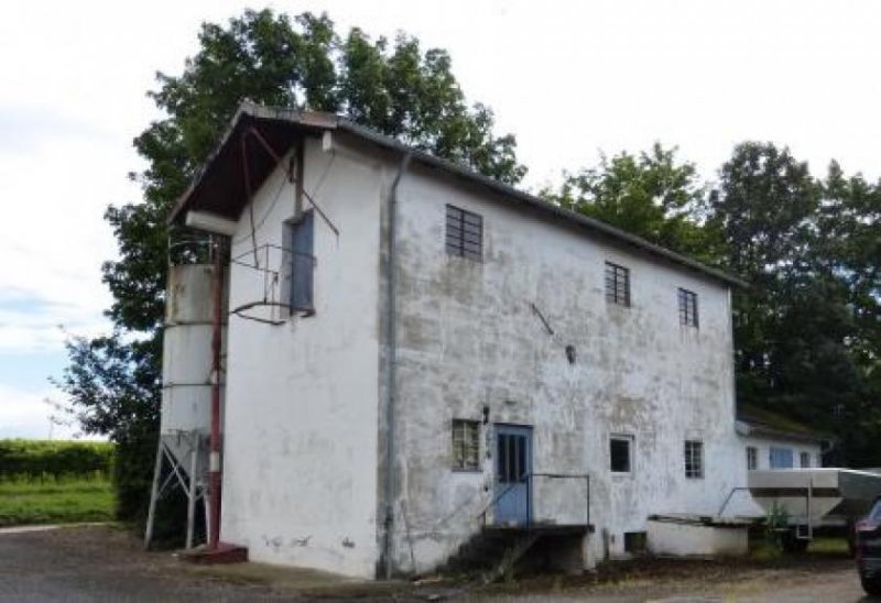 Dackenheim Aussiedlerhof mit Wohnhaus, Maschinenhalle, kleinem Stalltrakt und Weide Gewerbe kaufen