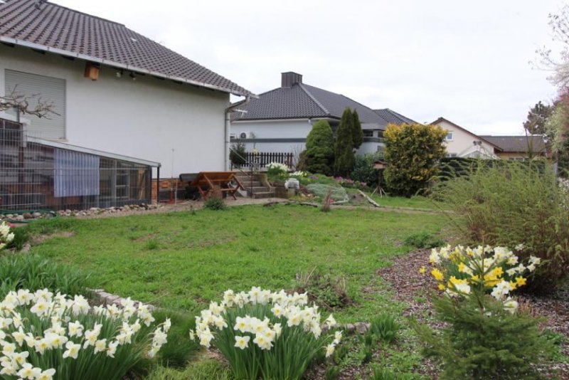 Böhl-Iggelheim Freistehendes und ruhig gelegenes Einfamilienhaus mit großem Grundstück in Böhl sucht neue Familie!! Haus kaufen