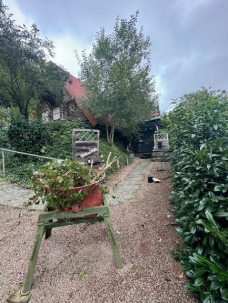 Nußbach TRAUM-DACHHAUS - Erstwohnsitz - Zweitwohnsitz oder nur als Ferienhaus Haus kaufen