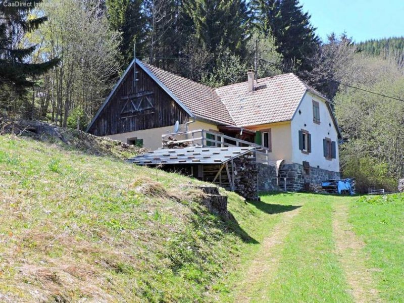 Lautenbach (bei) Autentisch erhaltene Farm in Absoluter Alleinlage - 40 Min. von Basel u. Weil am Rhein Haus kaufen