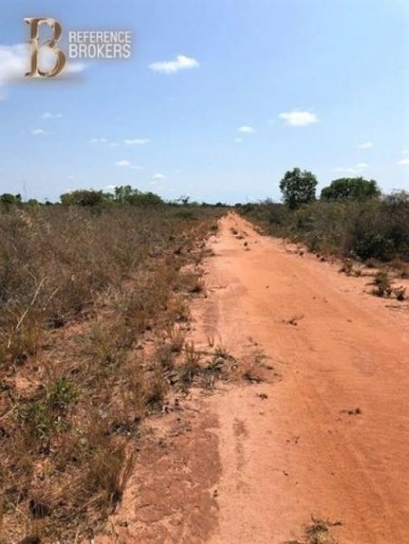 Silves Brasilien riesengrosses 1\'000 Ha Tiefpreis - Grundstück mit Rohstoffen Grundstück kaufen