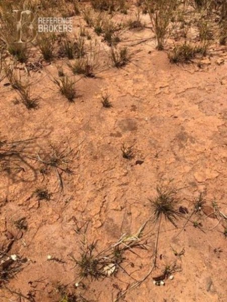 Novo Aripuana Brasilien 3'200 Ha grosses Grundstück (Goldvorkommen in der Region) Grundstück kaufen