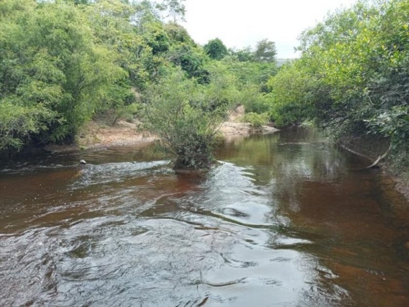 Novo Aripuana Brasilien 3'200 Ha grosses Grundstück (Goldvorkommen in der Region) Grundstück kaufen