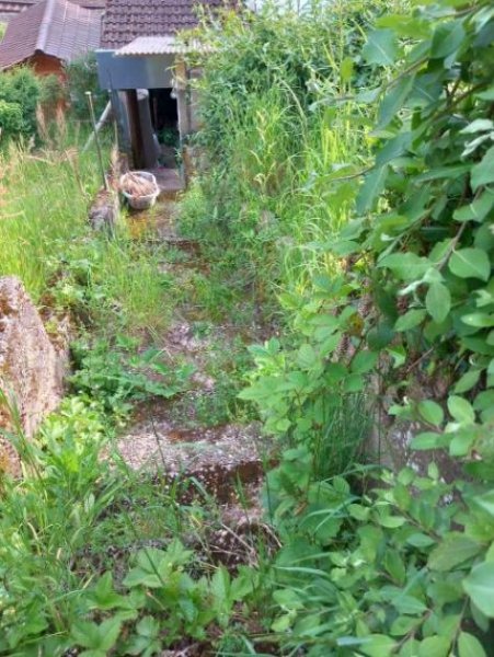 Eberbach ObjNr:B-19626 - Wohnen wo andere Urlaub machen! Freistehendes Einfamilienhaus in landschaftlich toller Lage Haus kaufen