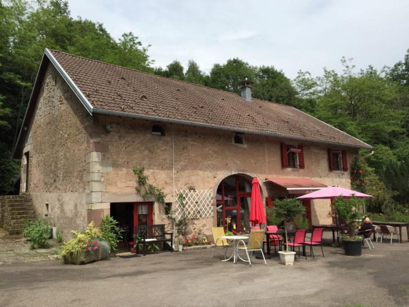 1000 Etangs Farm mit 1 Hektar Umschwung - 120 km von Basel Haus kaufen