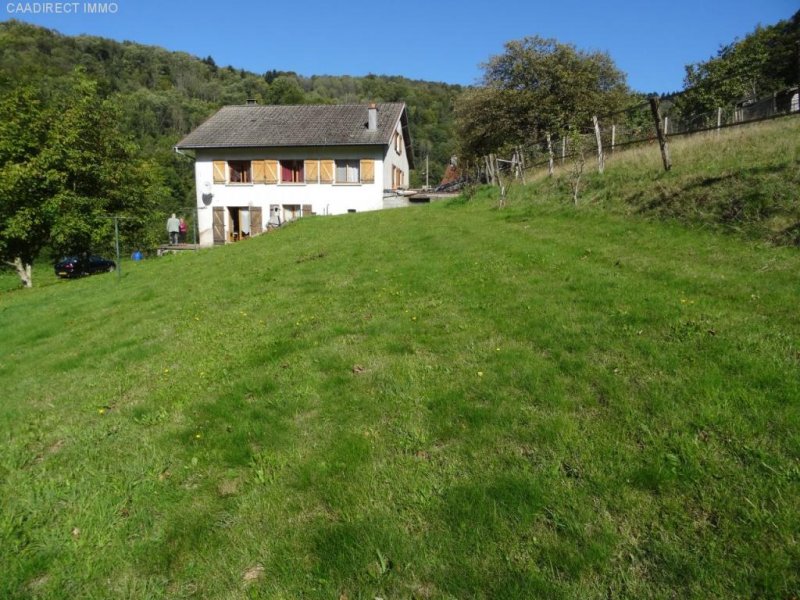 1000 Etangs Farm mit 1800 m² Grundstück - 90 km von Basel Haus kaufen