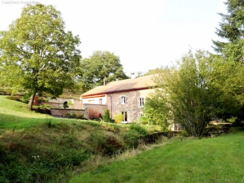 Luxeuil-les-Bains (bei) Landhaus mit Charme und Chic in des Vogesen - 130 km von Basel und Weil Haus kaufen