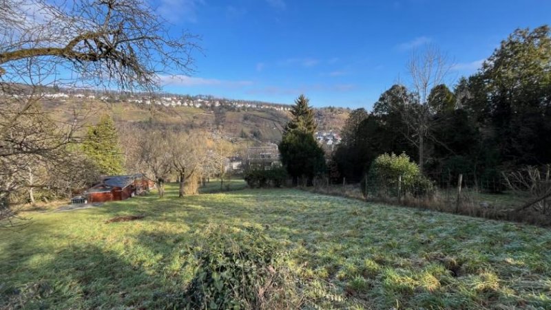 Stuttgart Freizeitgrundstück / Gartengrundstück in sonniger Lage in Rohracker / Hedelfingen zu verkaufen. Grundstück kaufen