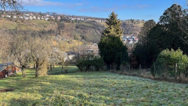 Stuttgart Freizeitgrundstück / Gartengrundstück in sonniger Lage in Rohracker / Hedelfingen zu verkaufen. Grundstück kaufen