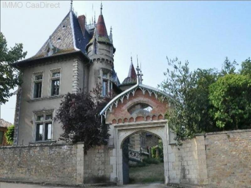 Mâcon (bei) zauberhaftes, sehr stilvolles Schloss mit viel Flair, mitten in Weingütern - 70 km von Lyon 130 km von Genf Haus kaufen