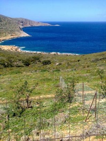 Irakleio - Agia Pelagia Super Grundstueck auf der Insel Kreta Grundstück kaufen