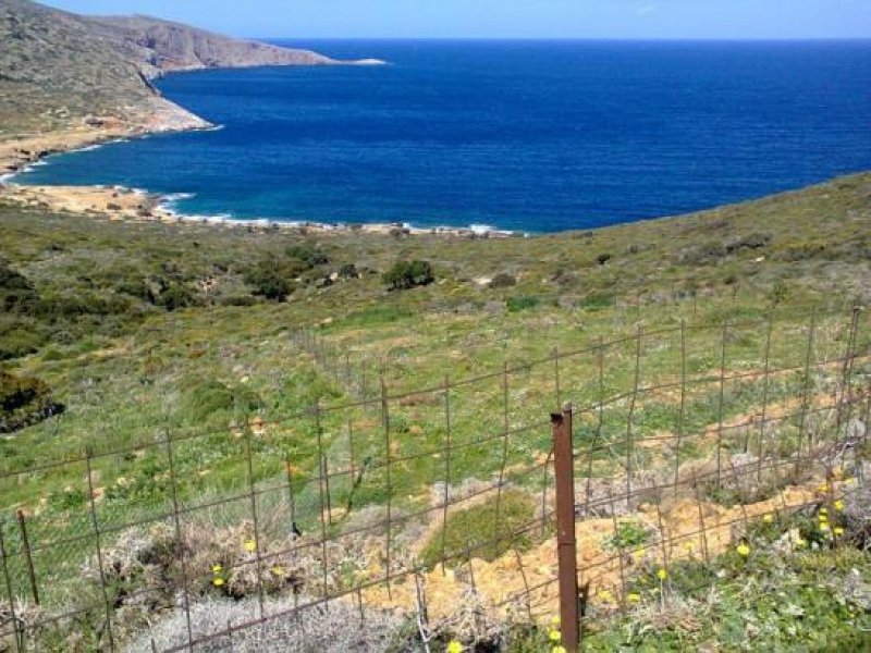 Irakleio - Agia Pelagia Super Grundstueck auf der Insel Kreta Grundstück kaufen