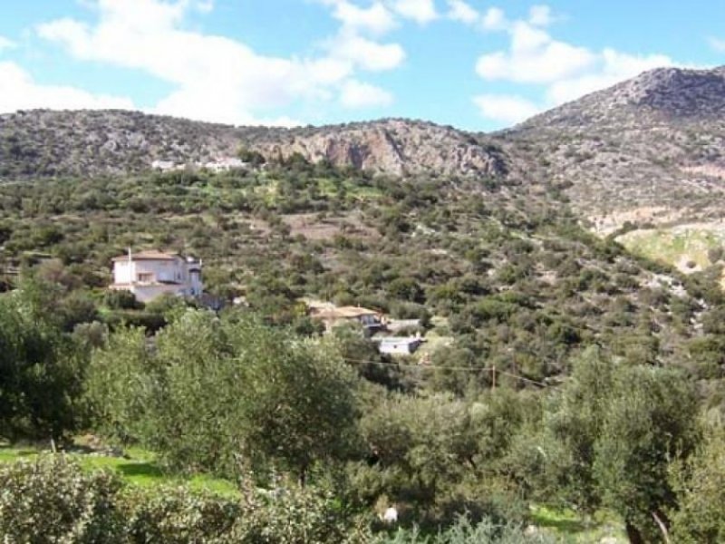 Agios Nikolaos, Lasithi, Kreta Baugrundstück in einem ruhigen Dorf, in der Nähe von Agios Nikolaos. Kreta Grundstück kaufen