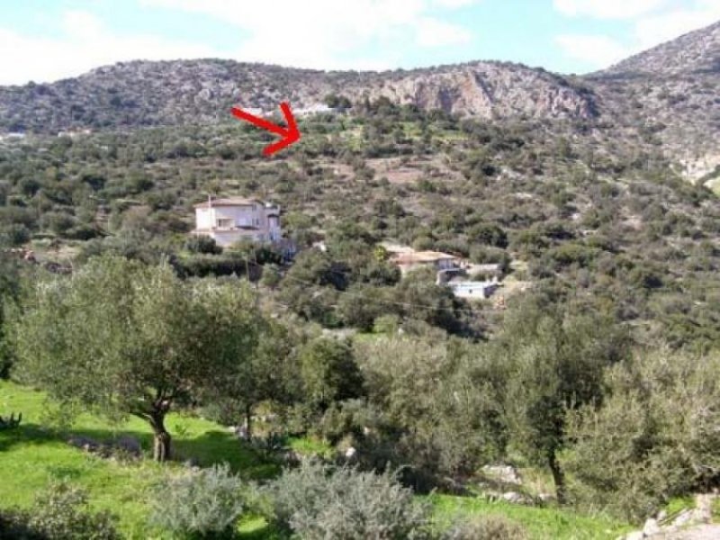 Agios Nikolaos, Lasithi, Kreta Baugrundstück in einem ruhigen Dorf, in der Nähe von Agios Nikolaos. Kreta Grundstück kaufen