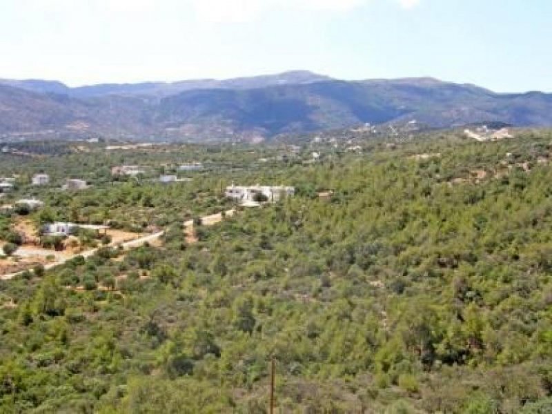 Vathi, Agios Nikolaos, Lasithi, Kreta Bauland mit Meer- und Waldblick Grundstück kaufen