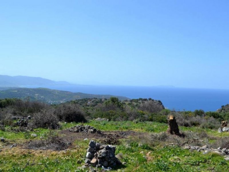 Kounali, Neapolis, Lasithi, Kreta 10 Baugrundstücke mit herrlichem Meer- und Bergblick Grundstück kaufen