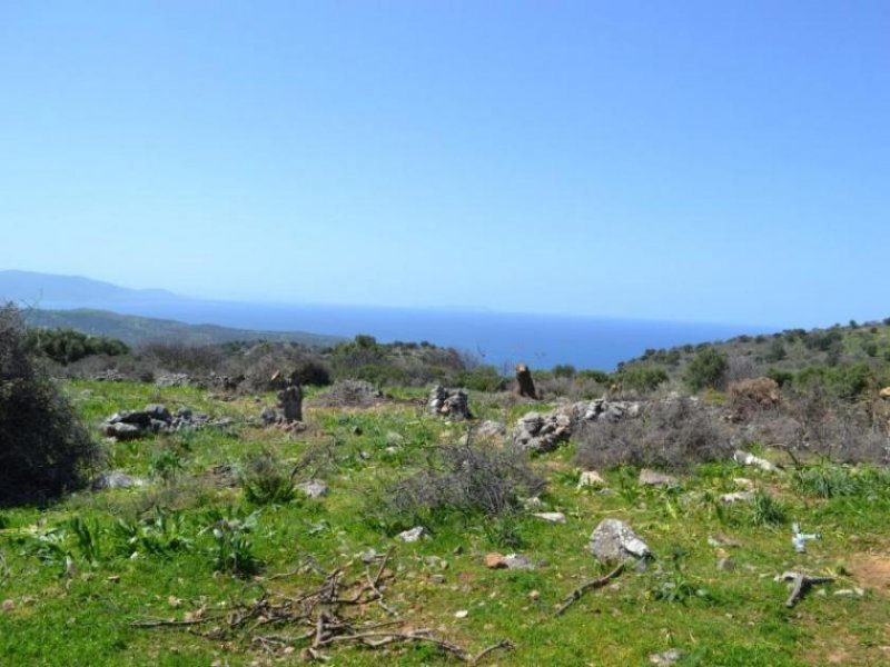 Kounali, Neapolis, Lasithi, Kreta 10 Baugrundstücke mit herrlichem Meer- und Bergblick Grundstück kaufen