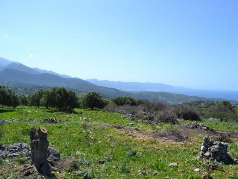 Kounali, Neapolis, Lasithi, Kreta 10 Baugrundstücke mit herrlichem Meer- und Bergblick Grundstück kaufen