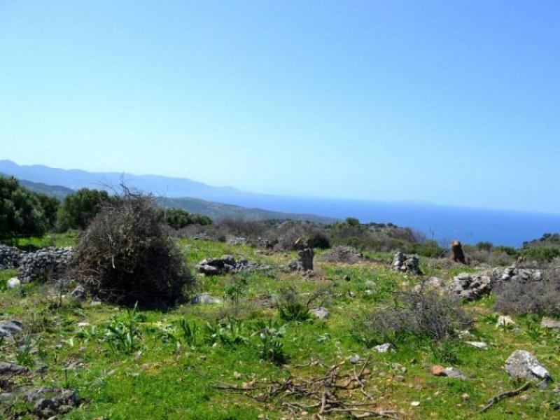 Kounali, Neapolis, Lasithi, Kreta 10 Baugrundstücke mit herrlichem Meer- und Bergblick Grundstück kaufen