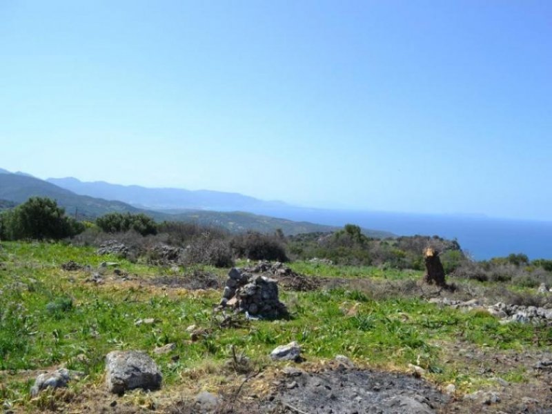 Kounali, Neapolis, Lasithi, Kreta Erschwingliches Grundstueck mit ausgezeichnetem Meerblick Grundstück kaufen