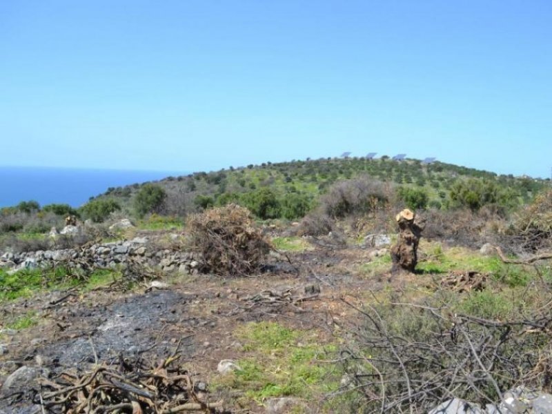 Kounali, Neapolis, Lasithi, Kreta Erschwingliches Grundstueck mit ausgezeichnetem Meerblick Grundstück kaufen