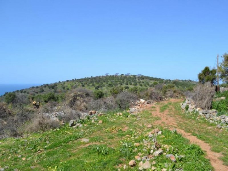 Kounali, Neapolis, Lasithi, Kreta Erschwingliches Grundstueck mit ausgezeichnetem Meerblick Grundstück kaufen