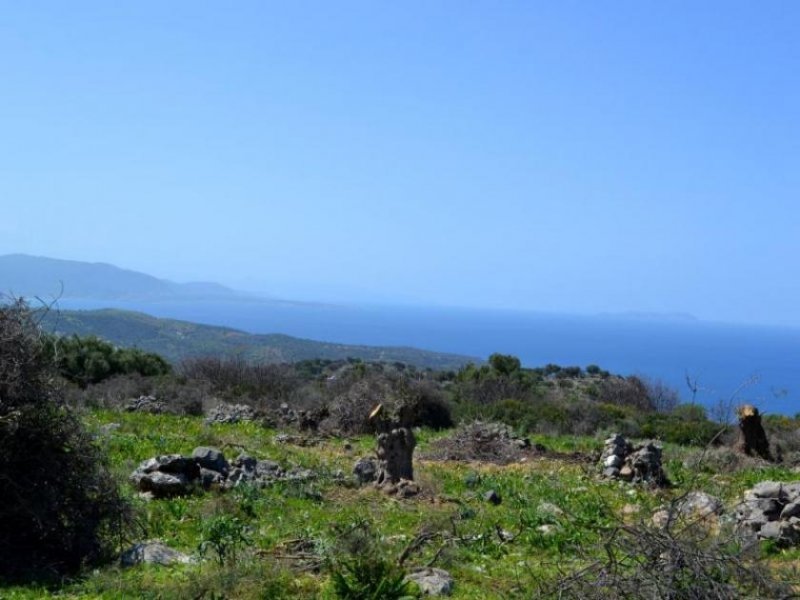 Kounali, Neapolis, Lasithi, Kreta Erschwingliches Grundstueck mit ausgezeichnetem Meerblick Grundstück kaufen