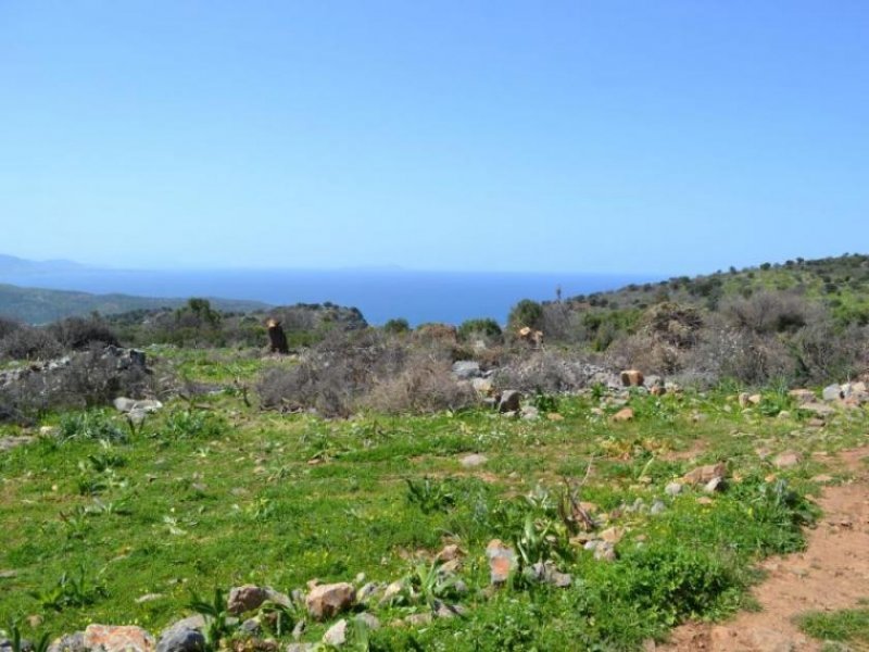 Kounali, Neapolis, Lasithi, Kreta Erschwingliches Grundstueck mit ausgezeichnetem Meerblick Grundstück kaufen