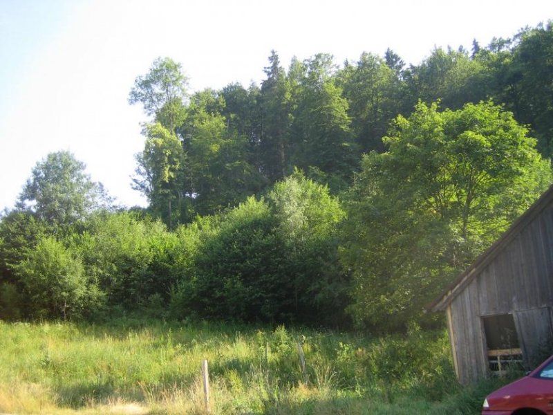 Stetten am kalten Markt Für Hobby-Tierhaltung geeignet: Bauernhaus, Kauf, Stetten a. k. M. Haus kaufen