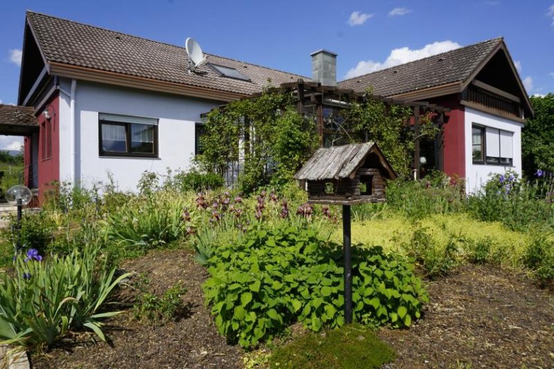 Trochtelfingen Markantes Objekt mit großzügiger Ausstattung inkl. Schwimmbad! Haus, Kauf, Trochtelfingen Haus kaufen