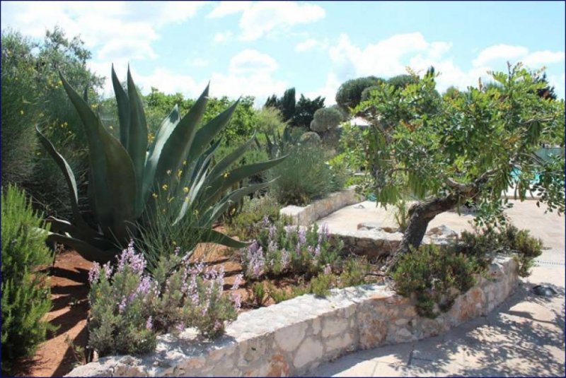 Lido Marini ***Großes Haus zur Nutzung als B&B mit Schwimmbädern und Gartenanlage in Apulia Salento Masseria*** Haus kaufen