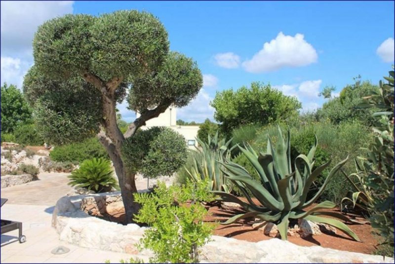 Lido Marini ***Großes Haus zur Nutzung als B&B mit Schwimmbädern und Gartenanlage in Apulia Salento Masseria*** Haus kaufen