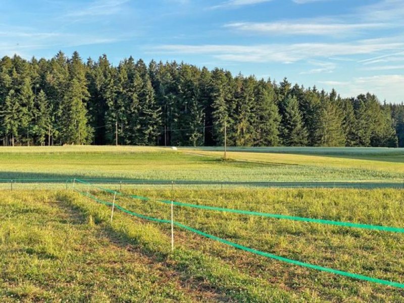 Kaisersbach Baden-Württemberg, 52 km von Stuttgart - Haus mit Pferdestall zu verkaufen Haus kaufen