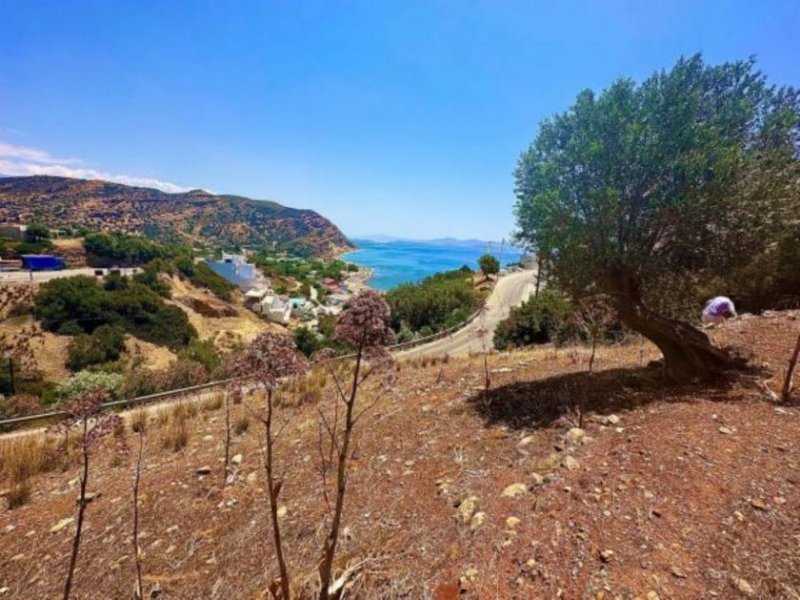 Agia Galini Kreta, Agia Galini, Baugrundstück mit Meerblick Ortsnah aber privat Grundstück kaufen