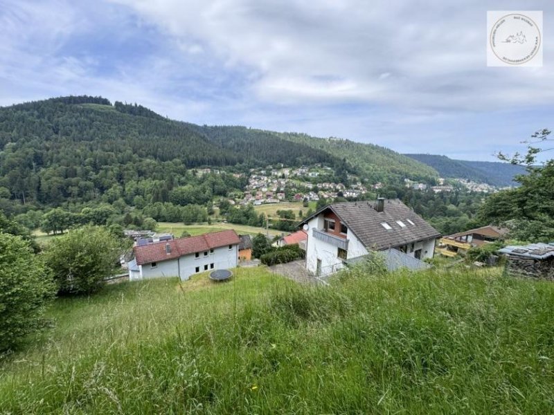 Bad Wildbad Freizeitgrundstück - Für Bienenfreunde, für Freunde der Natur evtl. Bebaubar. Grundstück kaufen