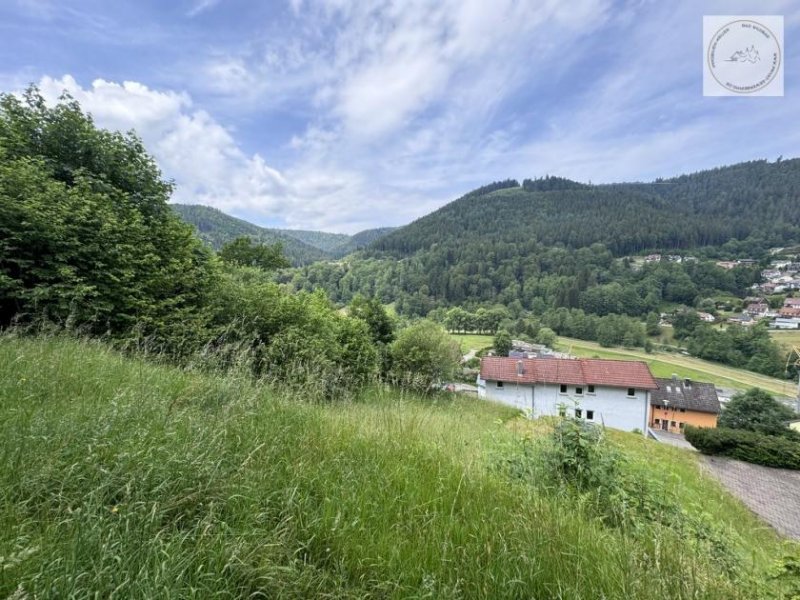 Bad Wildbad Freizeitgrundstück - Für Bienenfreunde, für Freunde der Natur evtl. Bebaubar. Grundstück kaufen