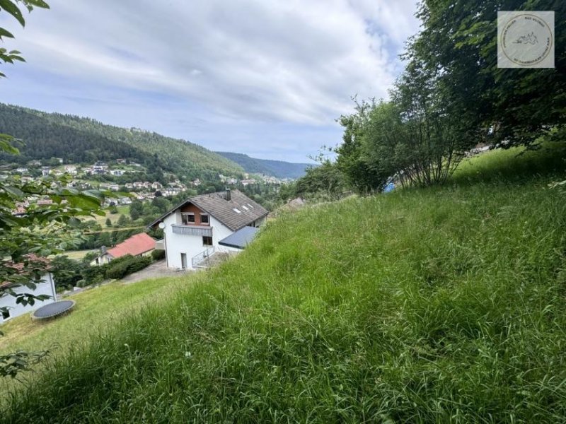 Bad Wildbad Freizeitgrundstück - Für Bienenfreunde, für Freunde der Natur evtl. Bebaubar. Grundstück kaufen