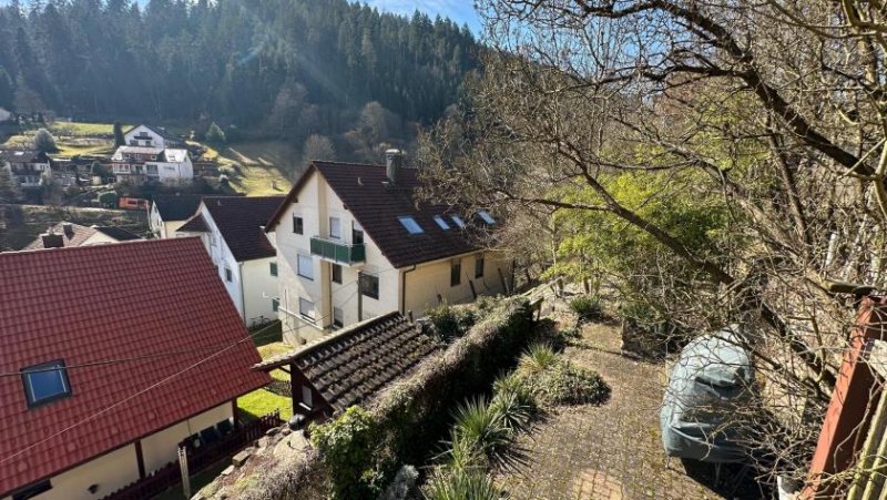 Bad Liebenzell Schöne gut vermietete2 Zimmerwohnung in Bad Liebenzell Wohnung kaufen